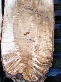 Image 2 of (Hard) Maple 