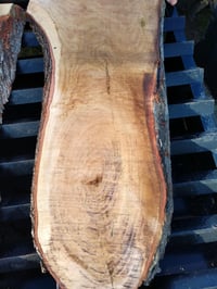 Image 3 of (Hard) Maple 