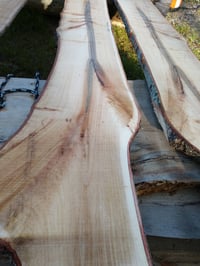 Image 4 of Maple, Hard 