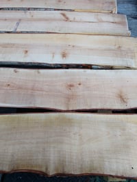 Image 5 of (Hard) Maple 