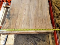 Image 2 of Pine, Sonderegger