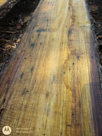 Image 2 of Persimmon