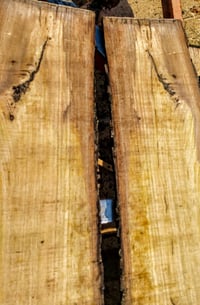 Image 3 of Persimmon