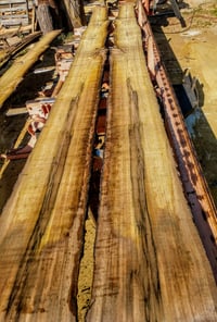 Image 4 of Persimmon