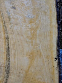 Image 5 of Persimmon