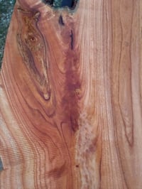 Image 2 of Chinaberry