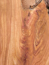 Image 3 of Chinaberry