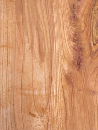 Image 5 of Chinaberry