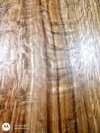 Image 4 of Oak, Live 