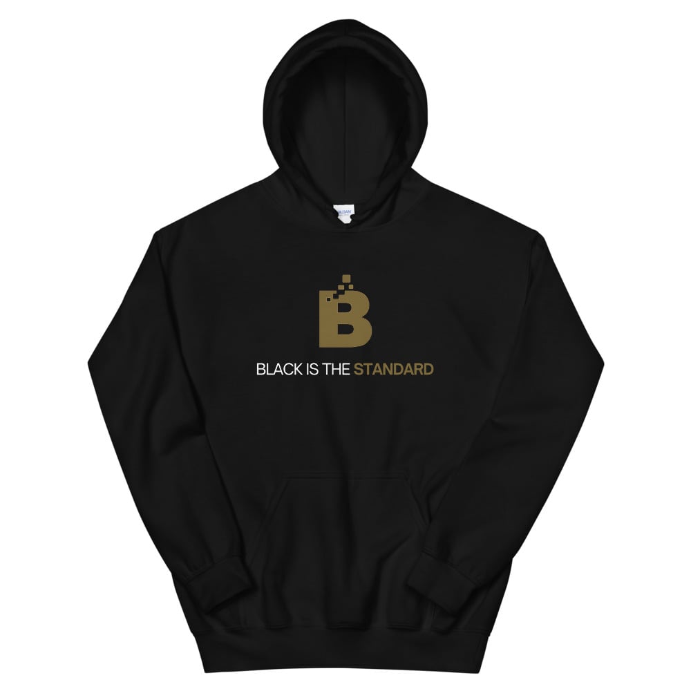 Image of Official BITS Hoodie -Unisex(Black)