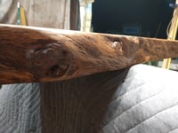 Image 5 of Oak, Live 