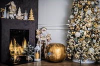 Christmas Mini Session (DEPOSIT ONLY)