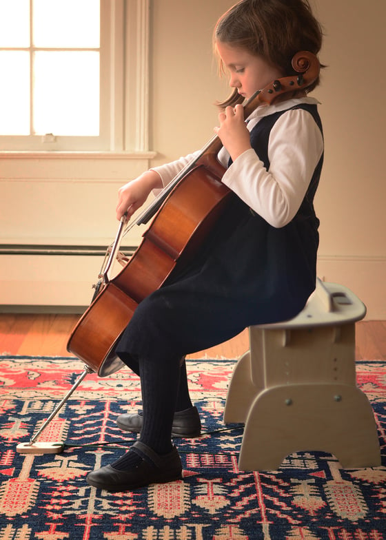 Image of Little Turtle Cello Bench