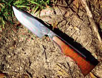 Image 2 of Fighter