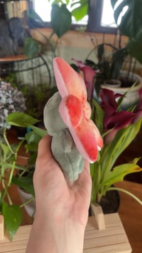 Image 2 of Lily Flower Bud - Yellow 2