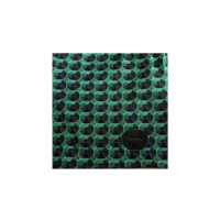 Image 4 of Emerald City Shorts