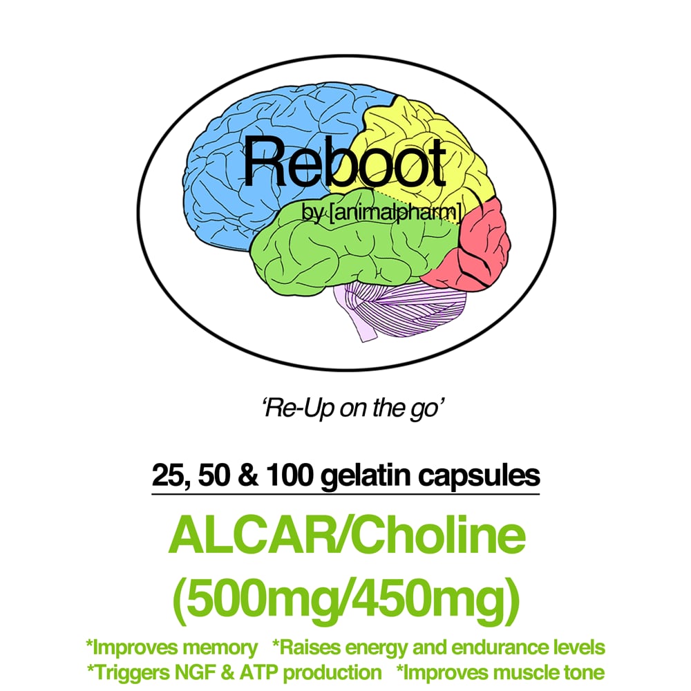 Image of ALCAR(500MG) + CHOLINE(450MG)