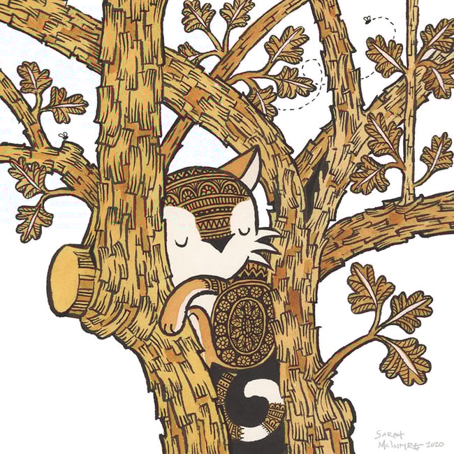 CAT CARDS - variety pack of 5