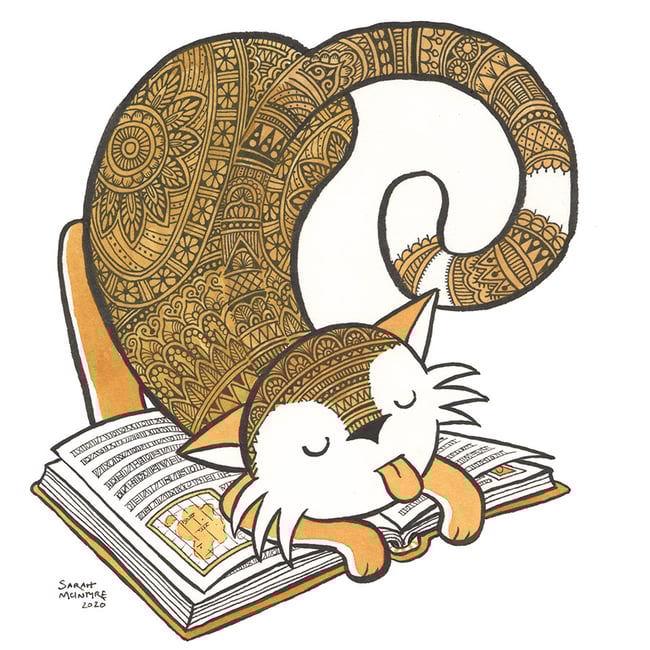 CAT CARDS - variety pack of 5