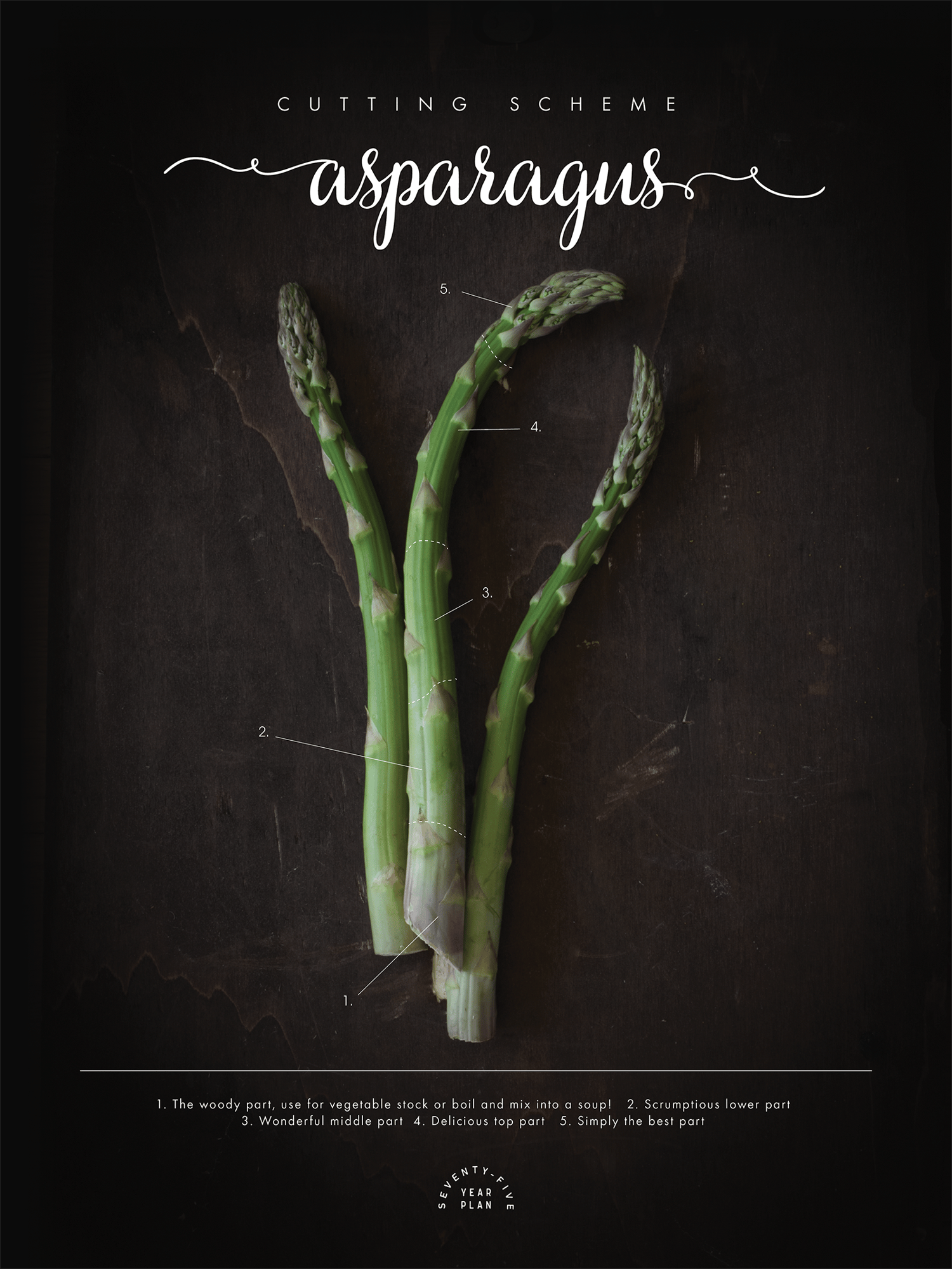 Image of The vegetarian butcher's cutting scheme – Asparagus edition (English version)