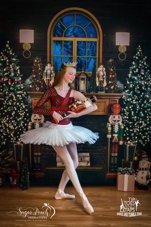 Image of Santa Claus Minis - Sunday December 6th, 2020 - SOLD OUT