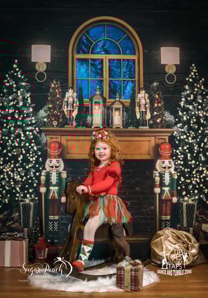 Image of Santa Claus Minis - Sunday December 6th, 2020 - SOLD OUT