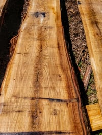 Image 5 of Oak, White 