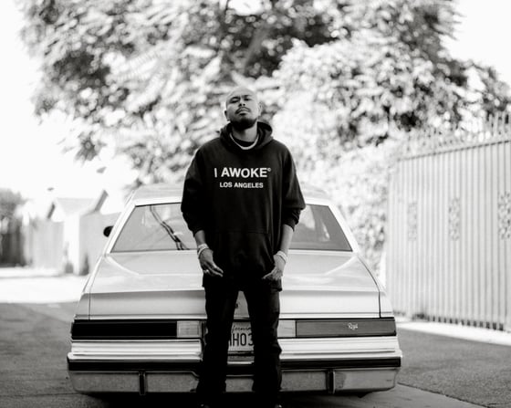 Image of I Awoke Los Angeles Hoodie