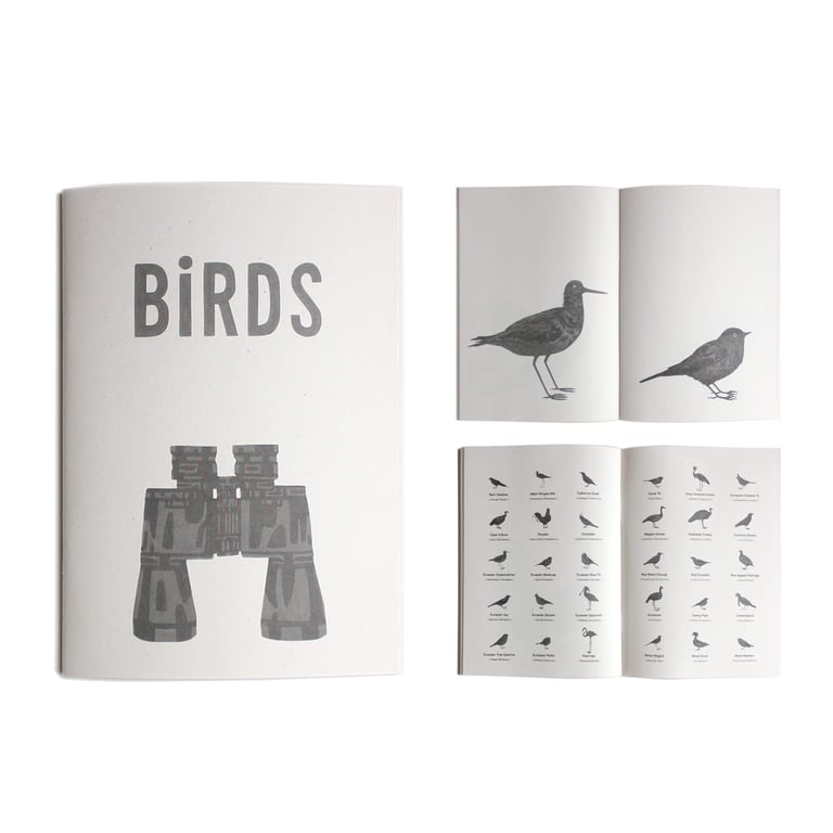 Birds Zine