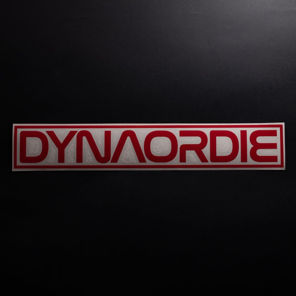 Dynasa swingarm decal