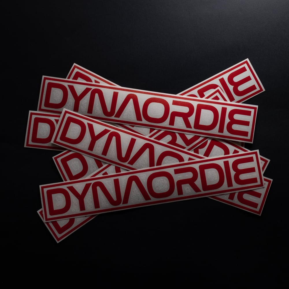 Dynasa swingarm decal