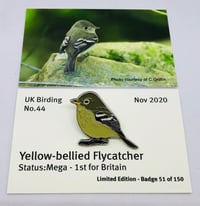 Image 1 of Yellow bellied Flycatcher - November 2020