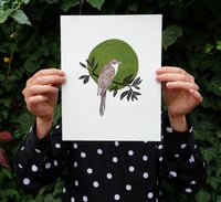 Image 2 of CUCKOOS: 8X10 INCH LIMITED EDITION LINOCUT PRINTS