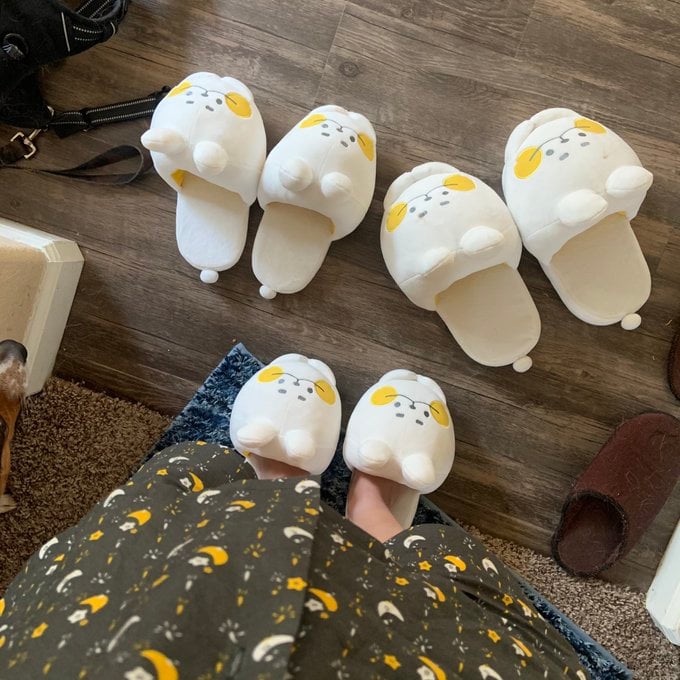 tims plush house slippers