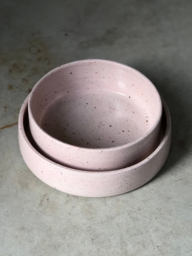 Image of pet bowls in speckled blossom 