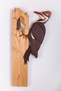Image 2 of Woodpecker -- Life size
