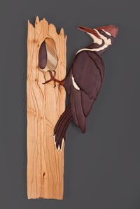 Image 4 of Woodpecker -- Life size