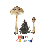 Festive Mushrooms Card 