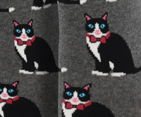 Image 2 of Tuxedo Cats