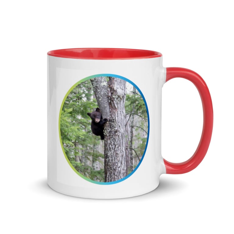 Bear Cub 02 Image 2