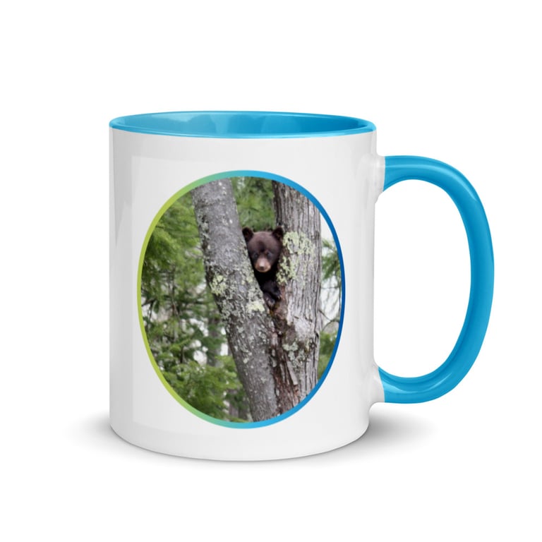 Bear Cub 01 Image 2