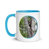 Image 1 of Bear Cub 01