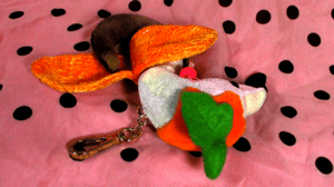 horso pumpkin chain