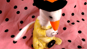 praying duck witch