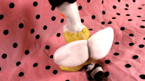praying duck witch