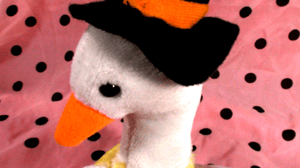 praying duck witch