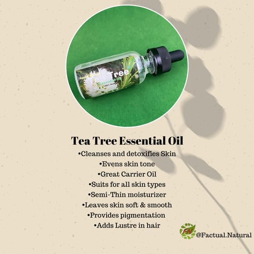 Image of Tea Tree Essential Oil