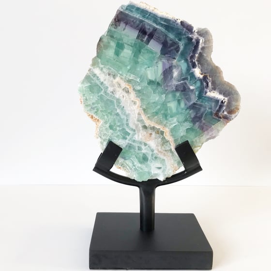 Image of Tricolor Fluorite no.155 + Matte Black Stand