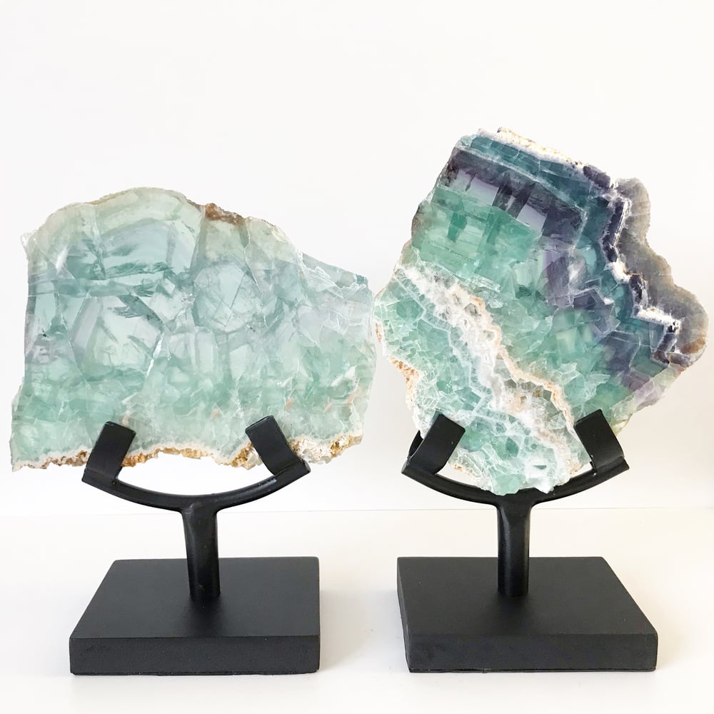 Image of Tricolor Fluorite no.155 + Matte Black Stand