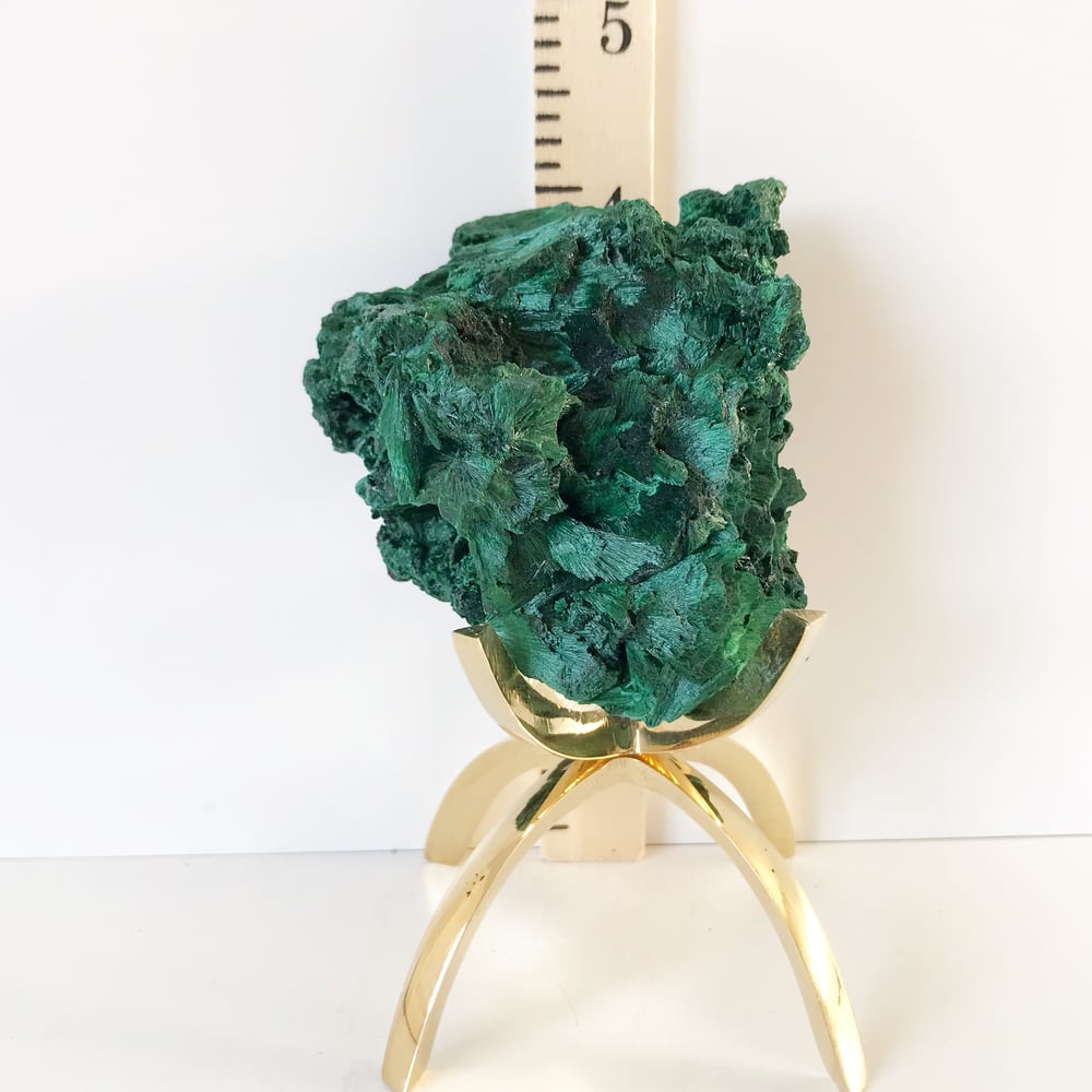Image of Fibrous Malachite no.85 + Brass Claw Stand